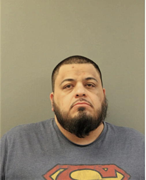 DANIEL S GUEDES, Cook County, Illinois