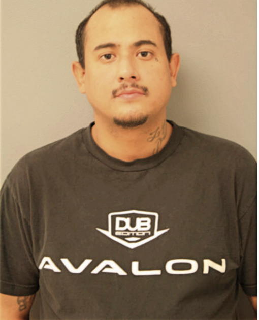 JOSE L HERNANDEZ, Cook County, Illinois
