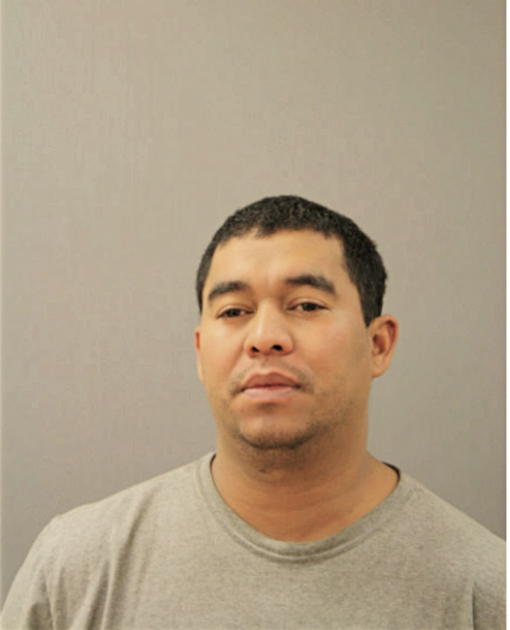 LUIS A HERNANDEZ, Cook County, Illinois