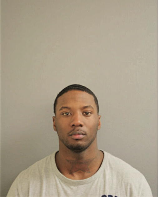 LORENZO A HOGAN, Cook County, Illinois