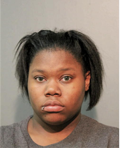 MICHELLE L LOVETTE, Cook County, Illinois