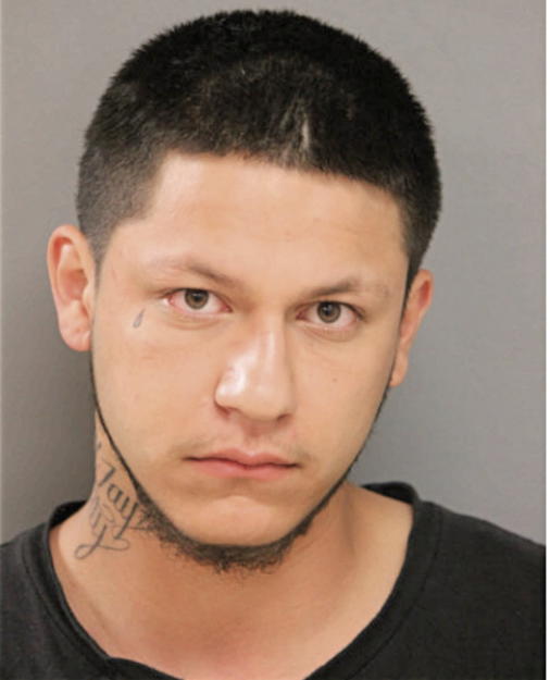 JOELL E MALDONADO, Cook County, Illinois