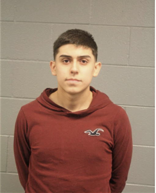 LUIS A MARTINEZ, Cook County, Illinois