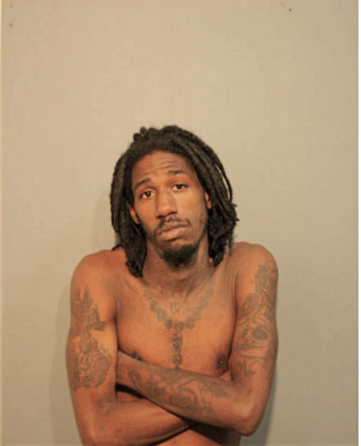DAVID A MCDONALD, Cook County, Illinois