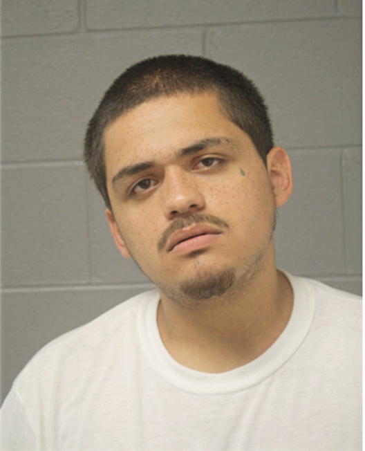CARLOS MONTANEZ, Cook County, Illinois