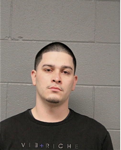 JORGE E NAVARRETE-CABALLERO, Cook County, Illinois