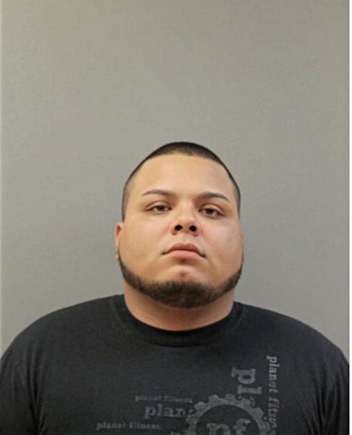 NELSON R OCASIO, Cook County, Illinois