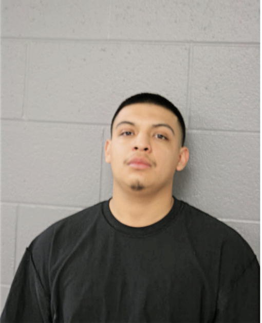 ERNESTO S OVIEDO, Cook County, Illinois