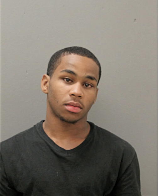ERIC R ROBERSON, Cook County, Illinois