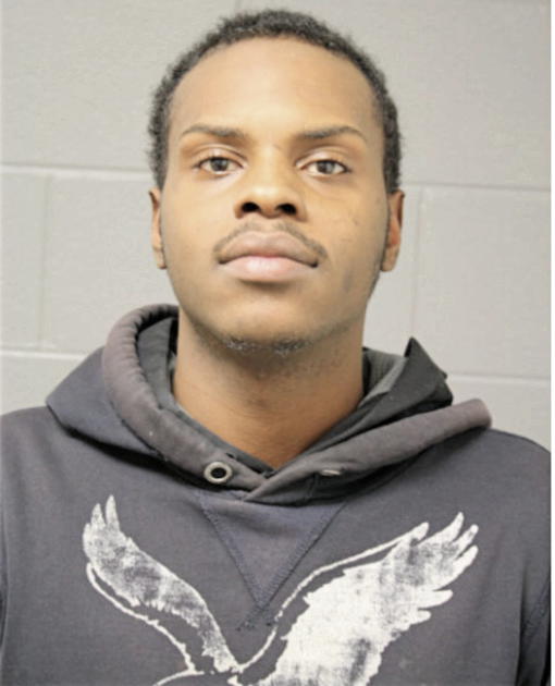 THEODORE ROBERTSON, Cook County, Illinois