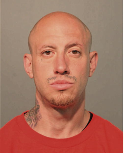 WILLIAM RYZNER, Cook County, Illinois
