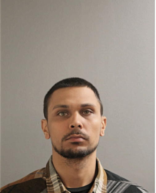 LUIS SANTANA, Cook County, Illinois