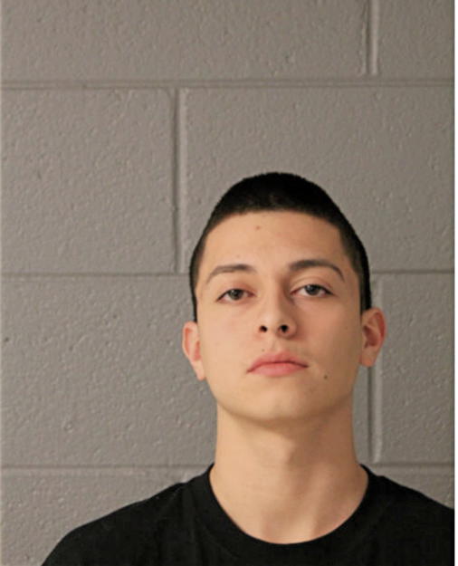 JAVIER I SILVA, Cook County, Illinois
