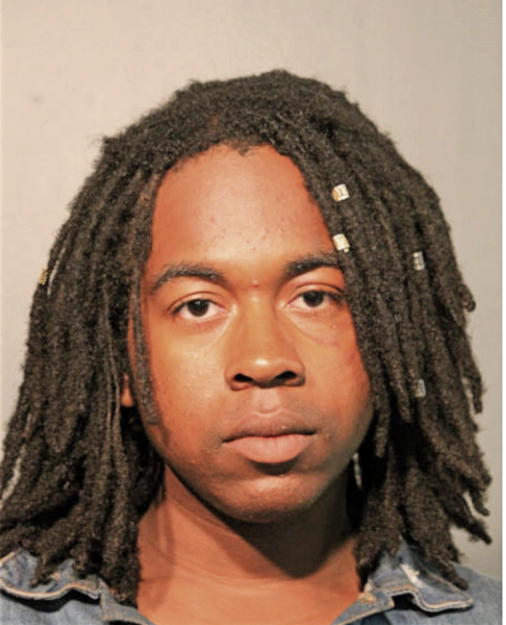DAVID G SPEARMAN, Cook County, Illinois