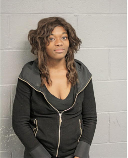 MECHELE M STYLES, Cook County, Illinois