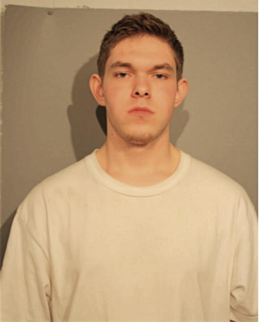 DENNIS E URSU, Cook County, Illinois