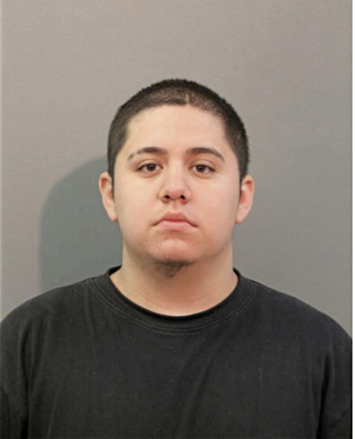 CHRISTIAN A VALENCIA, Cook County, Illinois