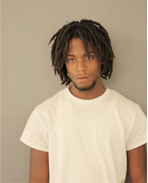 DAVID S WILLIAMSON, Cook County, Illinois