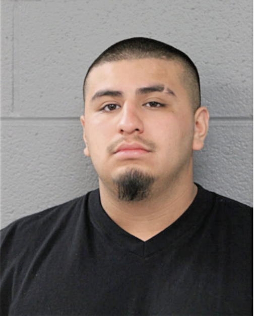 HECTOR A SANCHEZ, Cook County, Illinois
