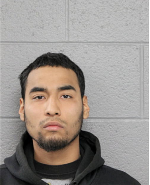 IRLAN A ANDRADE, Cook County, Illinois