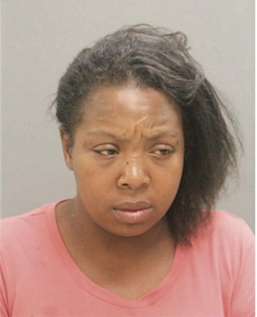 TIFFANY L BLAKELEY, Cook County, Illinois
