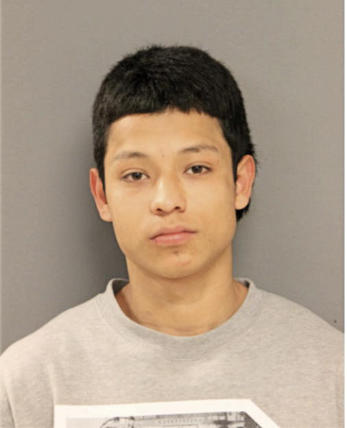 ALEXIS CASTILLO, Cook County, Illinois