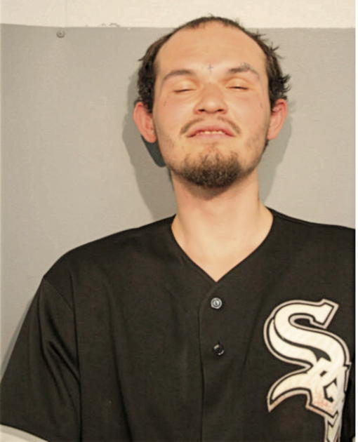 CHRISTOPHER L EMERY, Cook County, Illinois