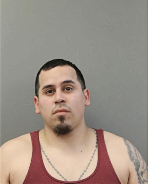 VICTOR M GAETA, Cook County, Illinois