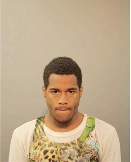 AMOS GIBSON, Cook County, Illinois