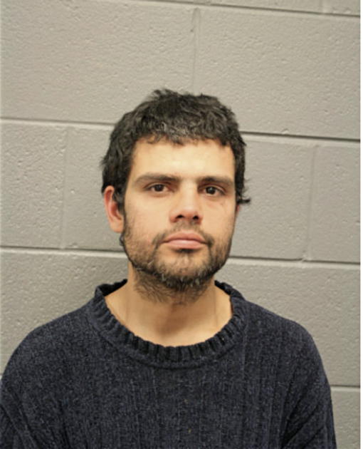 JAVIER L GONZALEZ, Cook County, Illinois