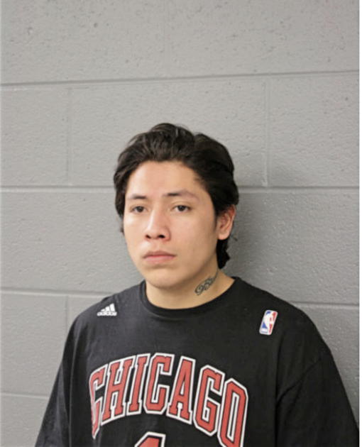 VINCENT J GONZALEZ, Cook County, Illinois