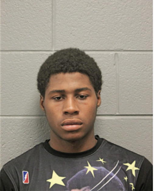 ANDRE N HEARD, Cook County, Illinois