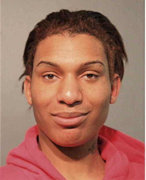 ASHANTI HILSON, Cook County, Illinois