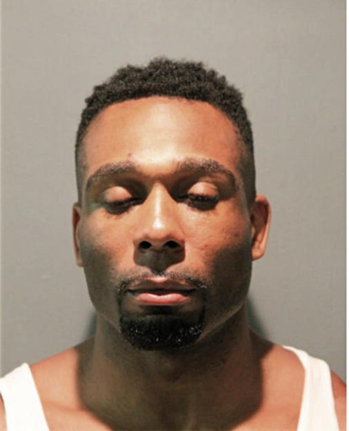 MATTHEW J HURSTON, Cook County, Illinois