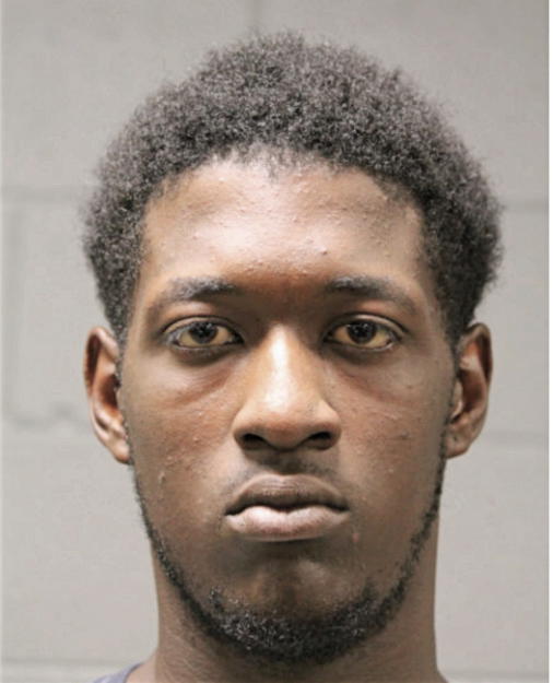 CARLTEN L LEWIS, Cook County, Illinois