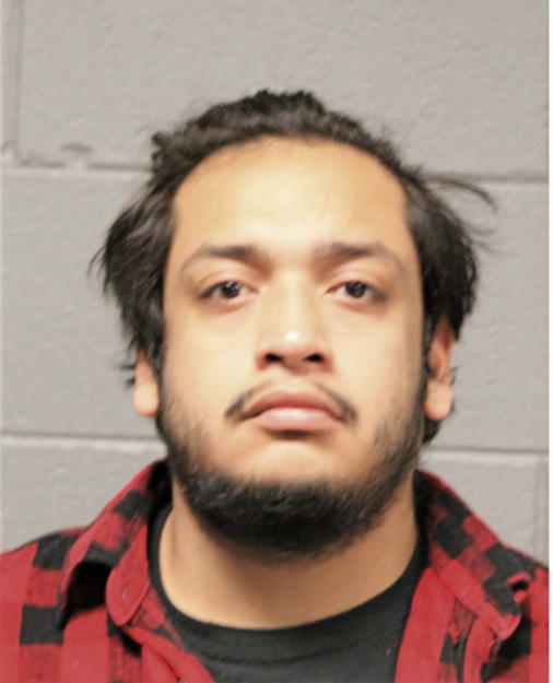 CESAR A MARTINEZ, Cook County, Illinois