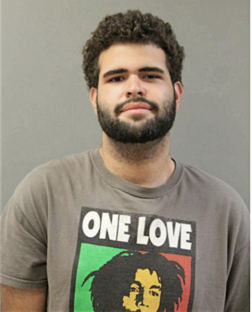 JONATHAN J MARTINEZ, Cook County, Illinois