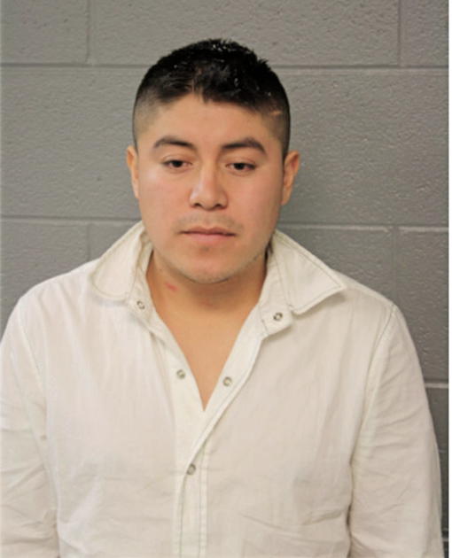 MARIO EDUARDO MEDINA-GONZALEZ, Cook County, Illinois