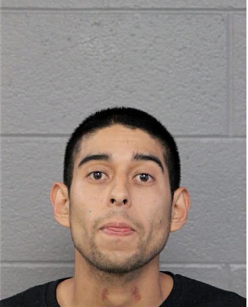 JOSE C MEDINA, Cook County, Illinois