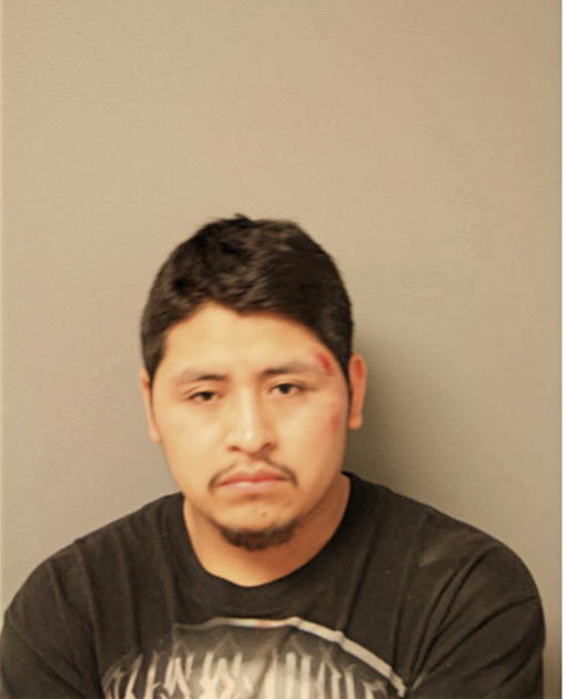 BERNARDINO OCOTL, Cook County, Illinois