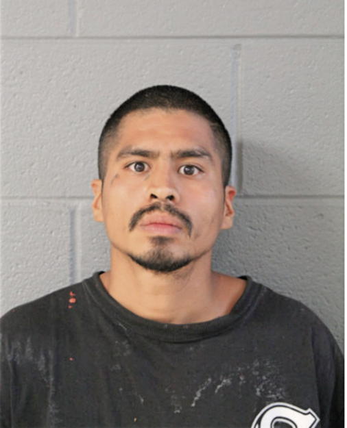 MARTIN REYES, Cook County, Illinois