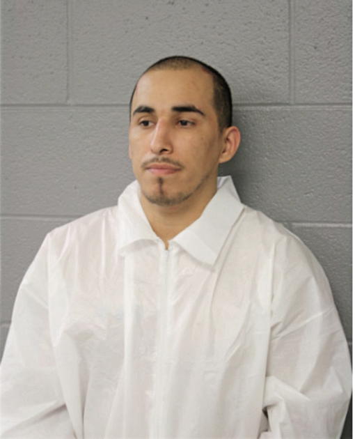 SERGIO SAUCEDA, Cook County, Illinois
