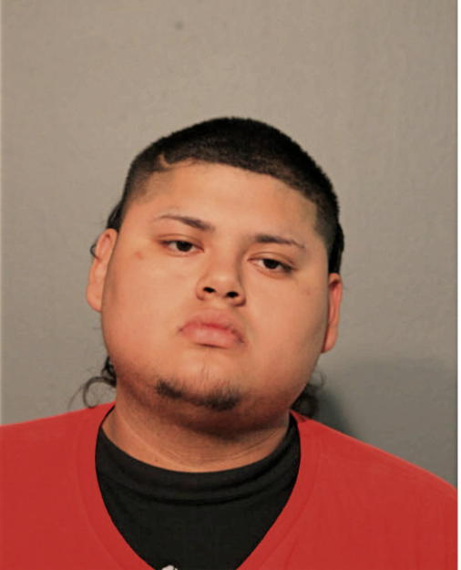 EDGAR SOTELO, Cook County, Illinois