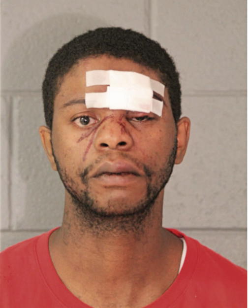 ROBERT A TAYLOR, Cook County, Illinois
