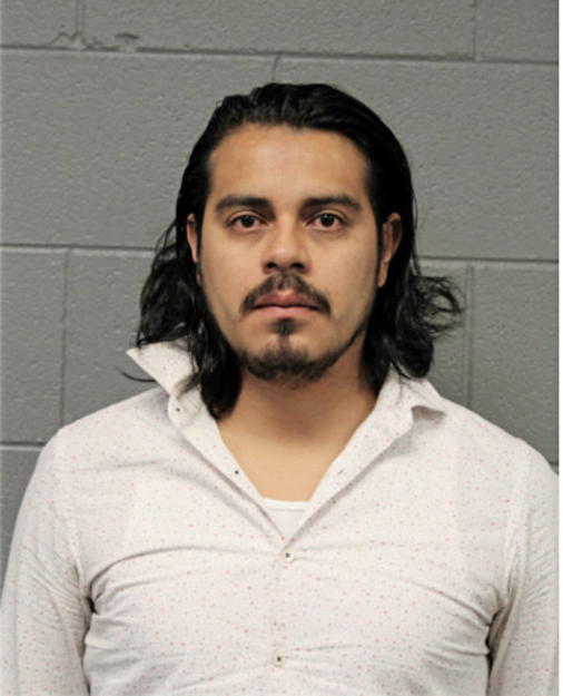 JOSE L TOLENTINO, Cook County, Illinois