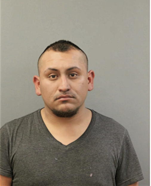 JOSE A VIDAL, Cook County, Illinois