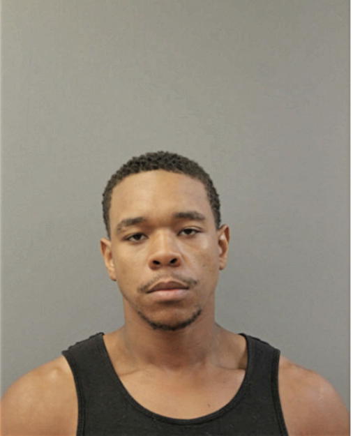 BRYAN X WILLIAMS, Cook County, Illinois
