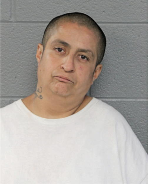 MARIA E ZAVALA, Cook County, Illinois