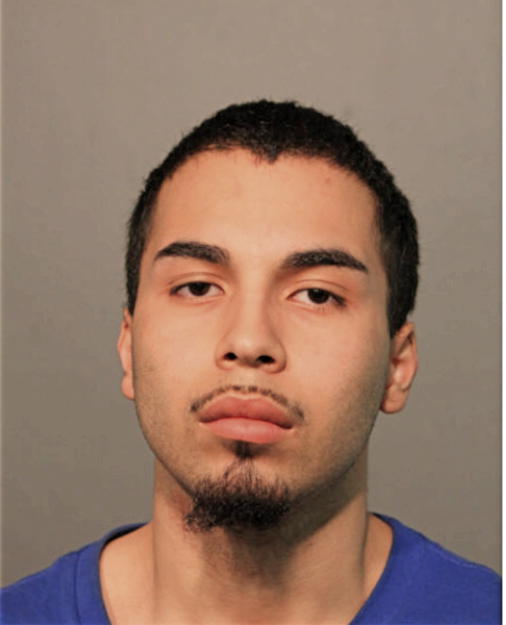 JUSTIN X ALVARADO, Cook County, Illinois