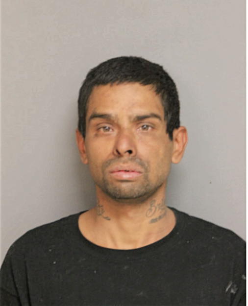 PEDRO L ARROYO-MORALES, Cook County, Illinois